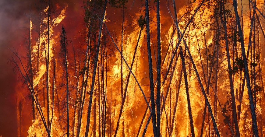 A forest fire in Canada is pictured. 